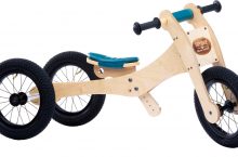 Une draisienne c’est quoi ?? Découvrons-le.